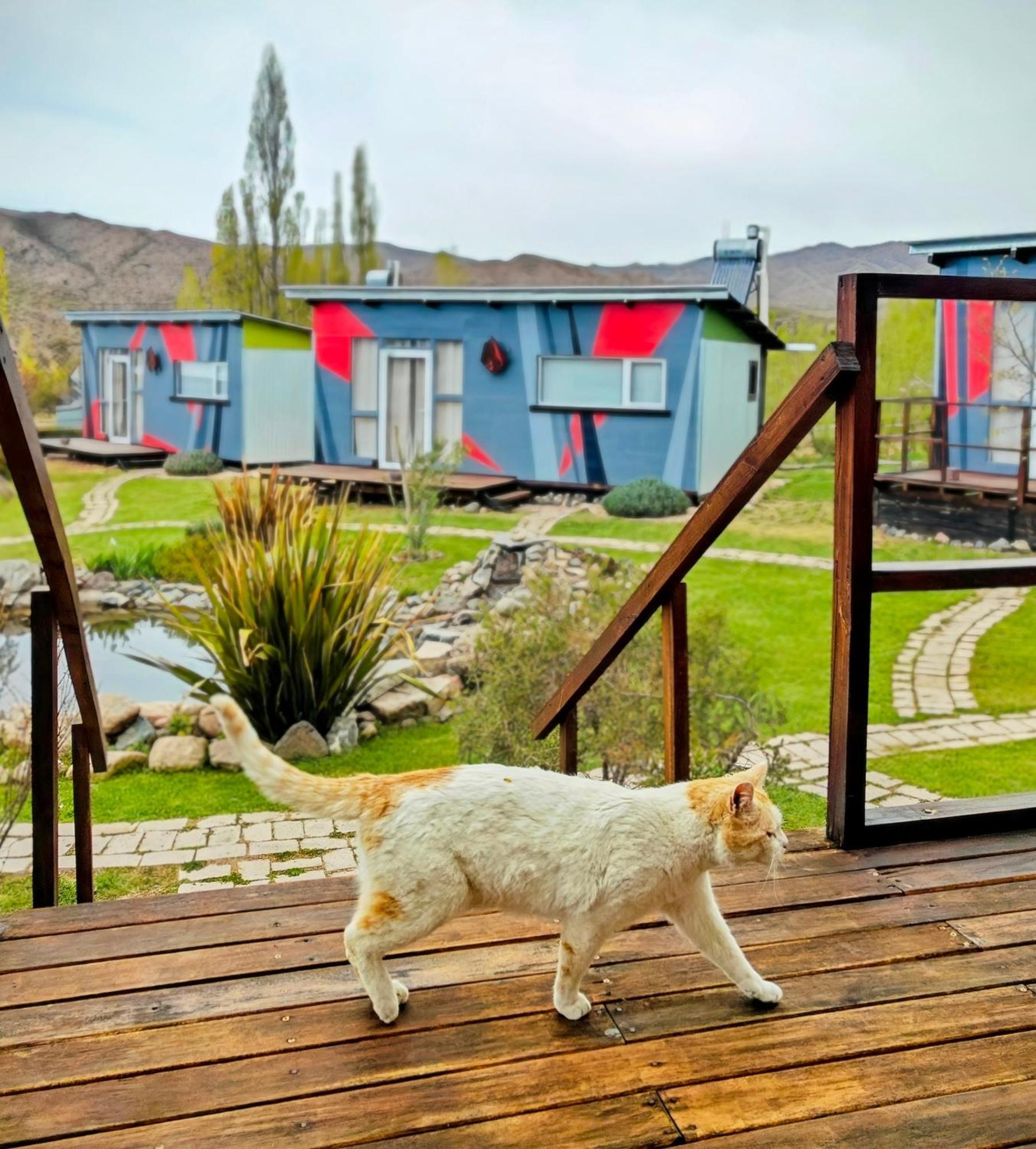 Casa Faro Arte Villa Potrerillos Buitenkant foto